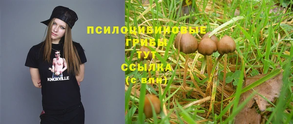 амф Беломорск